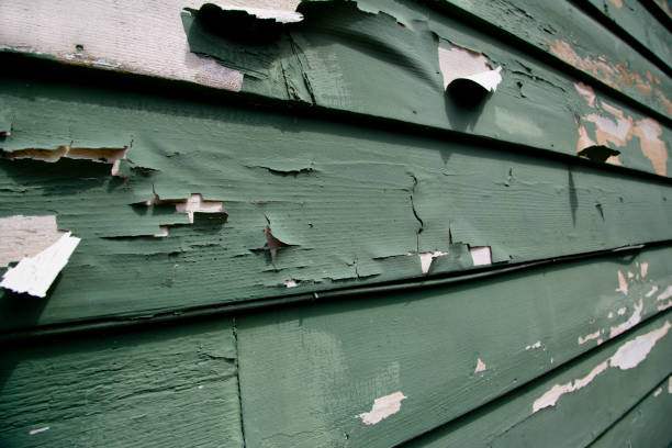 Best Shed Removal  in Carencro, LA