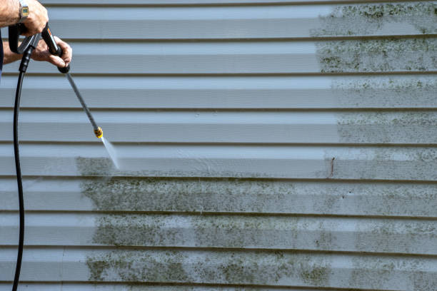 Best Attic Cleanout  in Carencro, LA